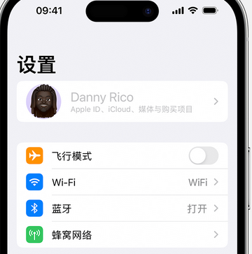 沙河口appleID维修服务iPhone设置中Apple ID显示为灰色无法使用 