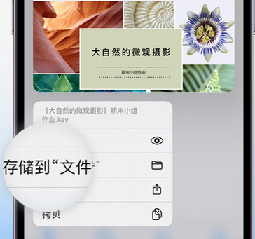 沙河口apple维修中心分享iPhone文件应用中存储和找到下载文件