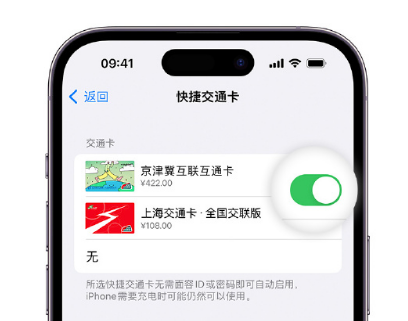 沙河口apple维修点分享iPhone上更换Apple Pay快捷交通卡手绘卡面 