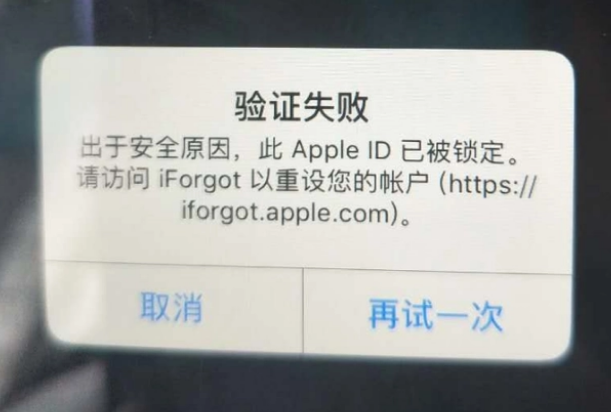 沙河口iPhone维修分享iPhone上正常登录或使用AppleID怎么办 