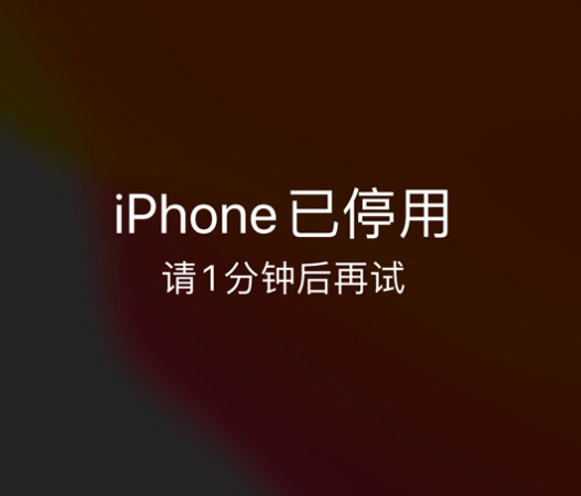 沙河口苹果手机维修分享:iPhone 显示“不可用”或“已停用”怎么办？还能保留数据吗？ 