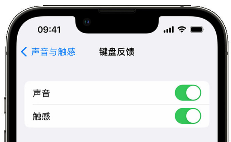 沙河口苹果手机维修分享iPhone 14触感键盘使用方法 