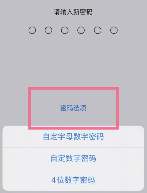 沙河口苹果14维修分享iPhone 14plus设置密码的方法 