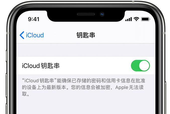 沙河口苹果手机维修分享在 iPhone 上开启 iCloud 钥匙串之后会储存哪些信息 