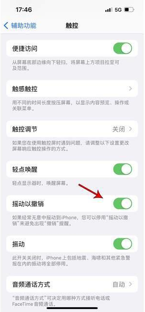 沙河口苹果手机维修分享iPhone手机如何设置摇一摇删除文字 