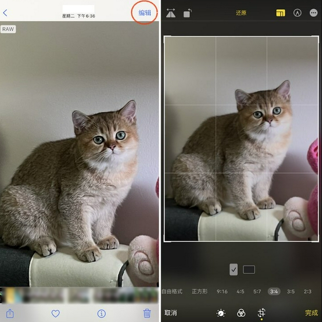沙河口苹果手机维修分享苹果 iPhone 12 Pro 拍照会过度锐化 